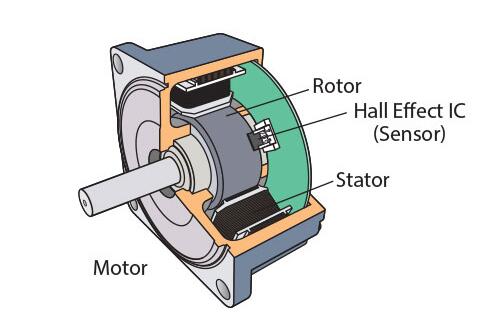 Motor cutaway